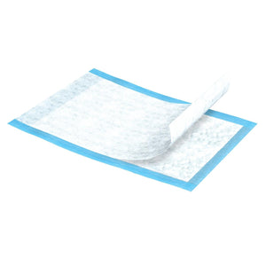 Disposable pad to protect beds and chairs from bladder leak incontinence